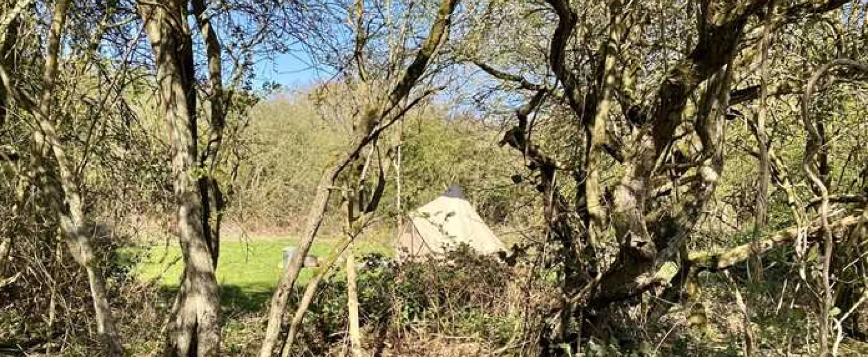 Dreamy Hollow Woodland Campsite and WW1 Trenches