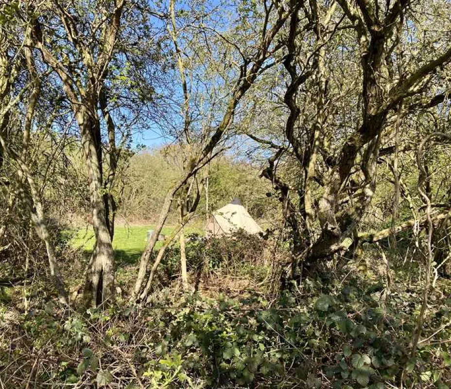Dreamy Hollow Woodland Campsite and WW1 Trenches