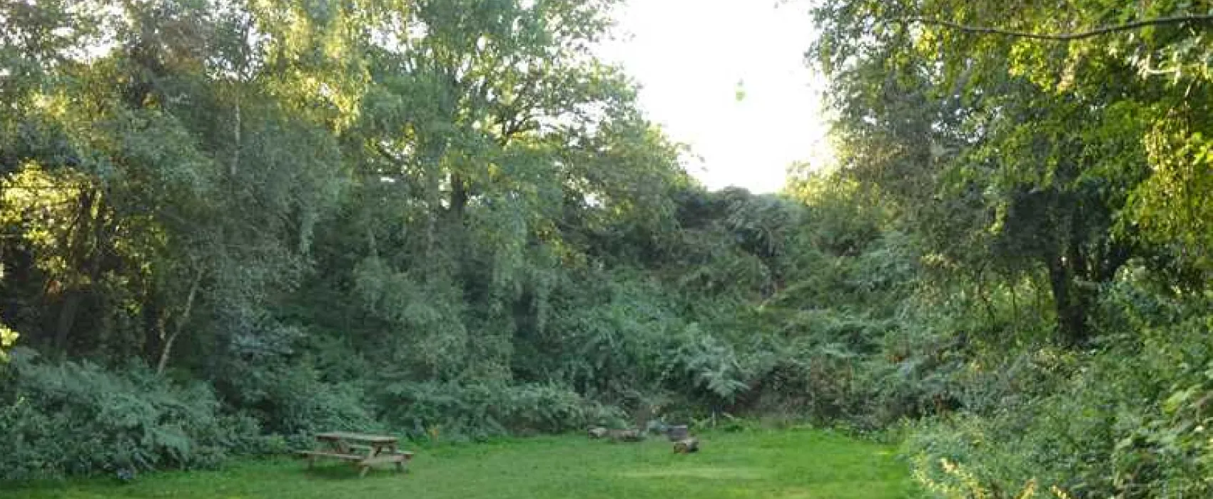 Dreamy Hollow Woodland Campsite and WW1 Trenches