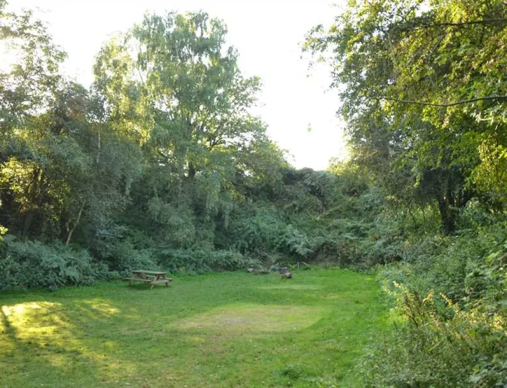 Dreamy Hollow Woodland Campsite and WW1 Trenches