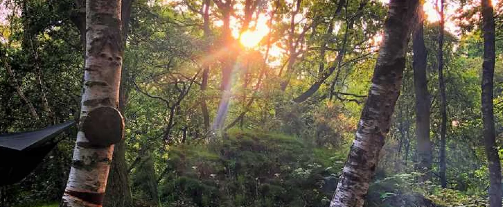 Dreamy Hollow Woodland Campsite and WW1 Trenches