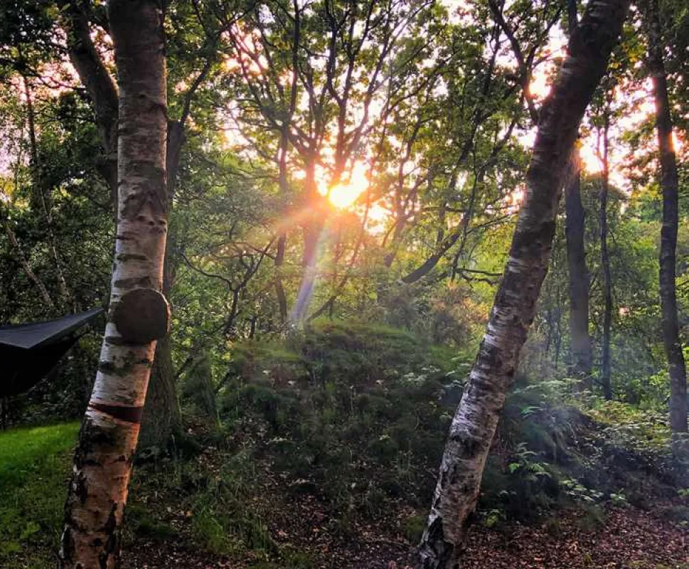 Dreamy Hollow Woodland Campsite and WW1 Trenches