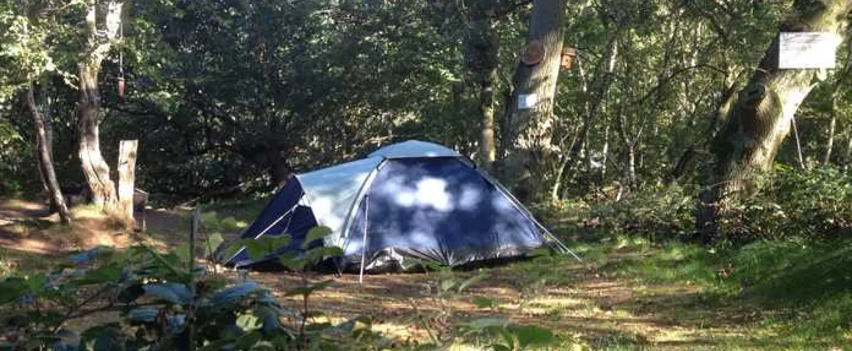 Dreamy Hollow Woodland Campsite and WW1 Trenches
