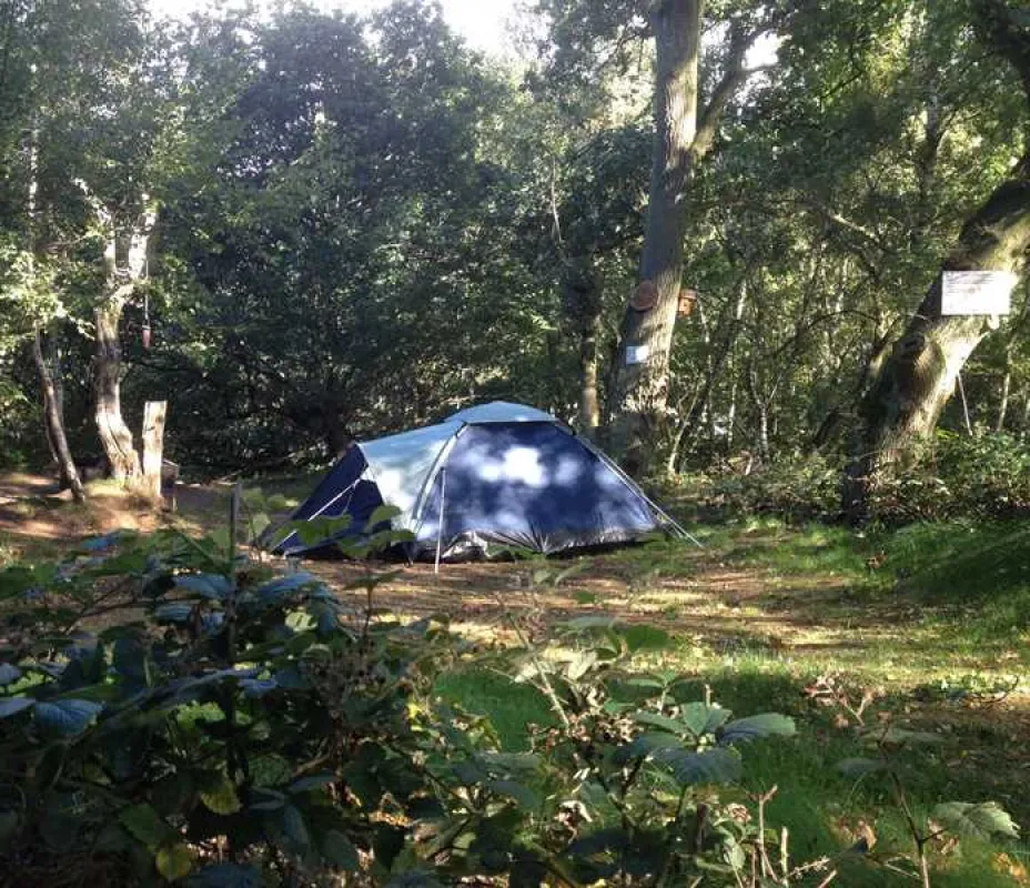 Dreamy Hollow Woodland Campsite and WW1 Trenches