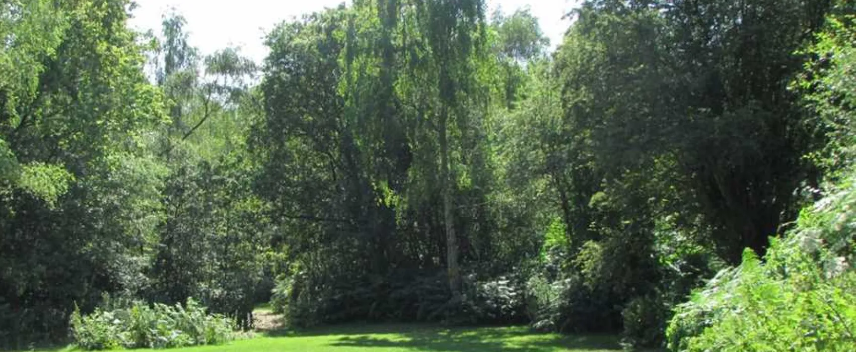 Dreamy Hollow Woodland Campsite and WW1 Trenches