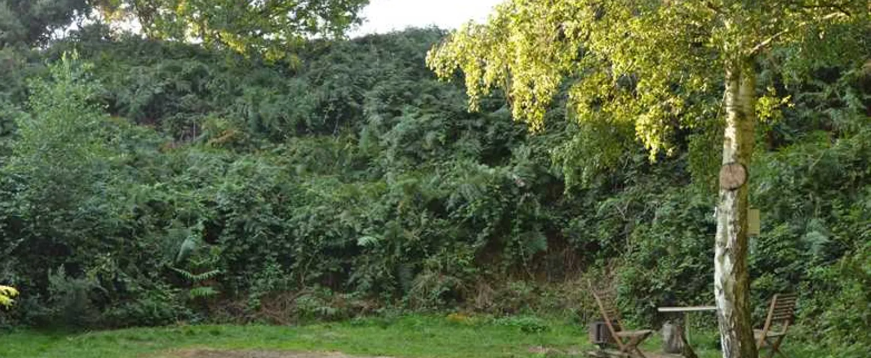 Dreamy Hollow Woodland Campsite and WW1 Trenches
