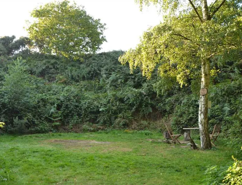 Dreamy Hollow Woodland Campsite and WW1 Trenches