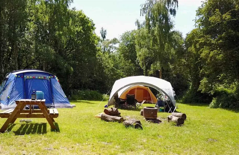 Dreamy Hollow Woodland Campsite and WW1 Trenches
