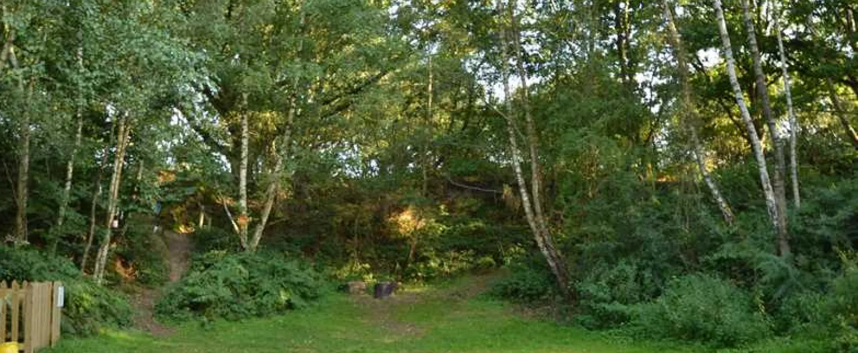 Dreamy Hollow Woodland Campsite and WW1 Trenches