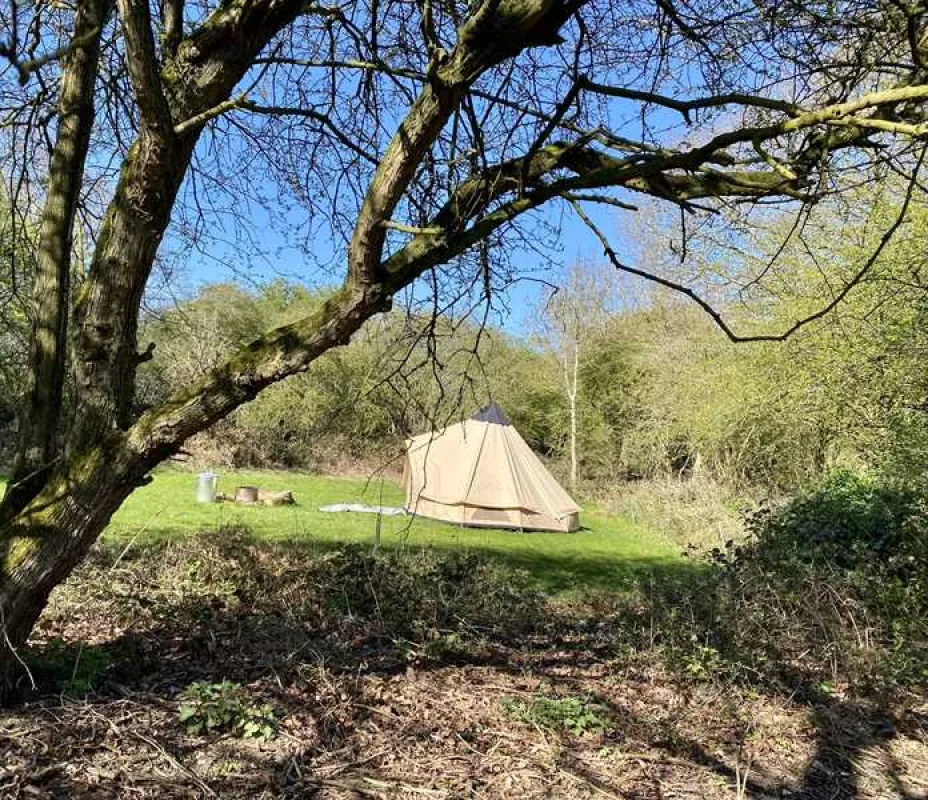 Dreamy Hollow Woodland Campsite and WW1 Trenches