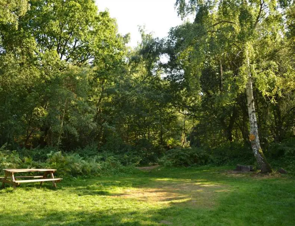 Dreamy Hollow Woodland Campsite and WW1 Trenches