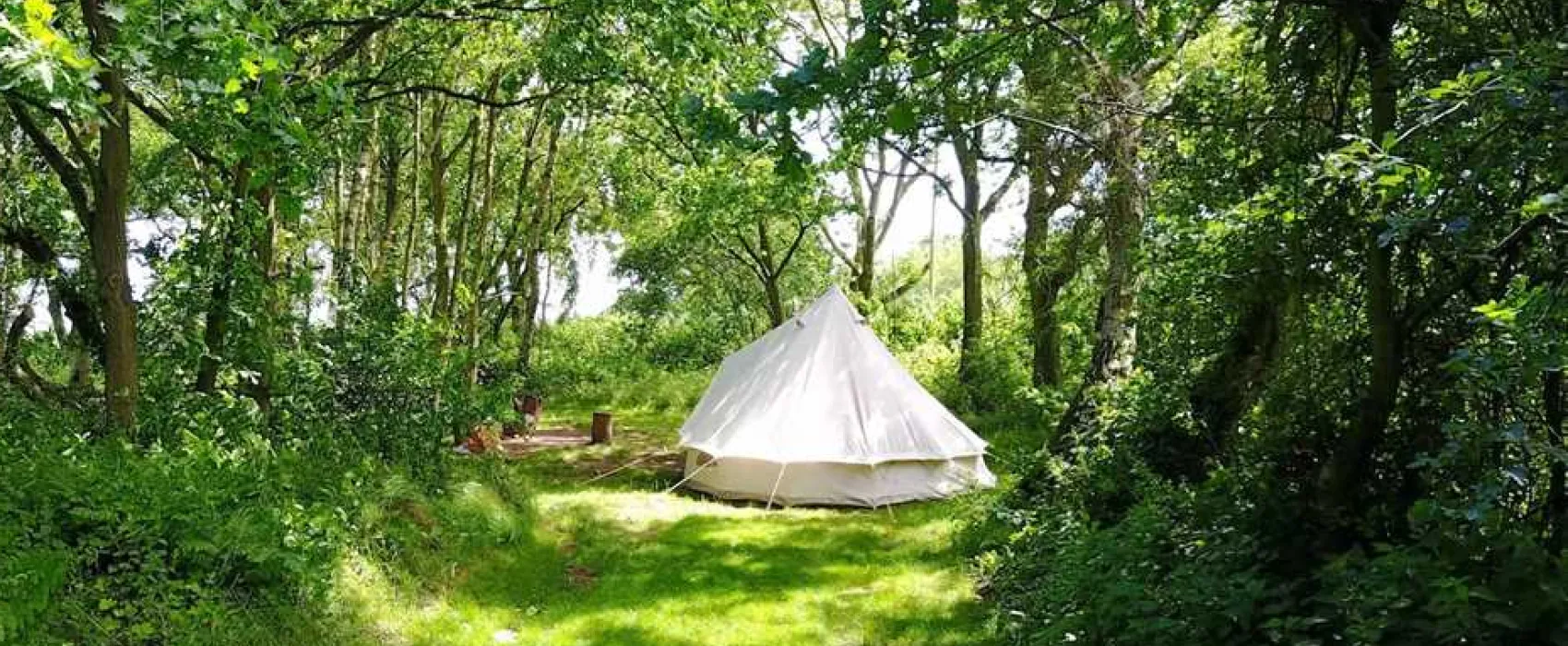 Dreamy Hollow Woodland Campsite and WW1 Trenches