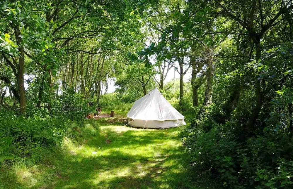 Dreamy Hollow Woodland Campsite and WW1 Trenches
