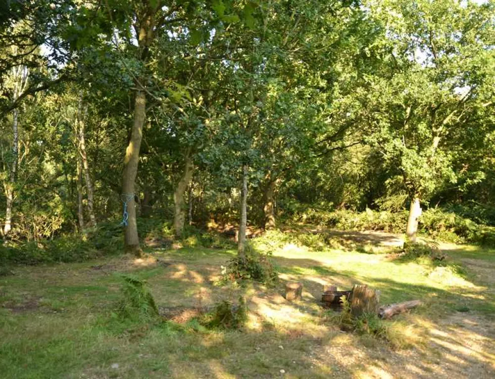 Dreamy Hollow Woodland Campsite and WW1 Trenches