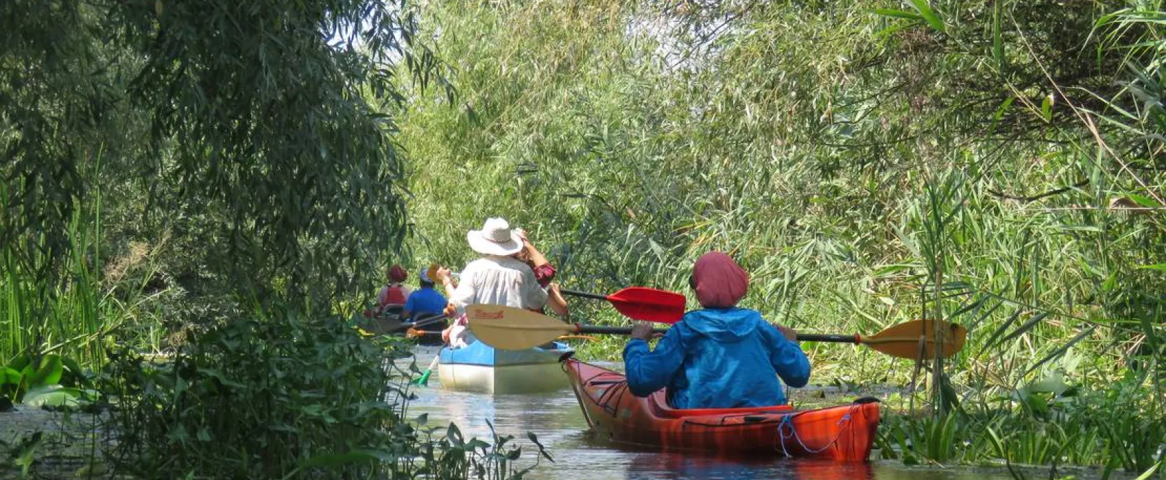 Slow Motion Danube Delta