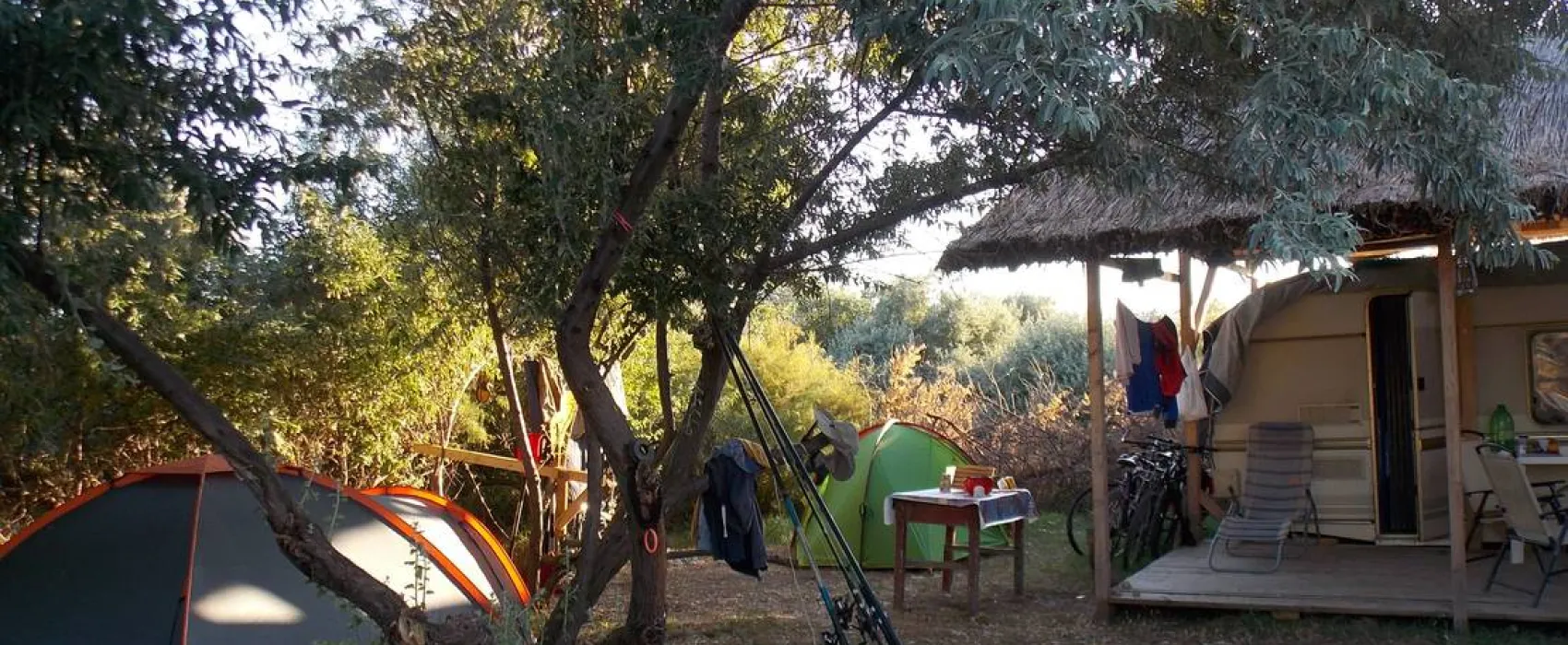Slow Motion Danube Delta