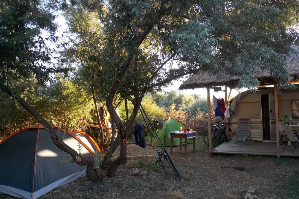 Slow Motion Danube Delta