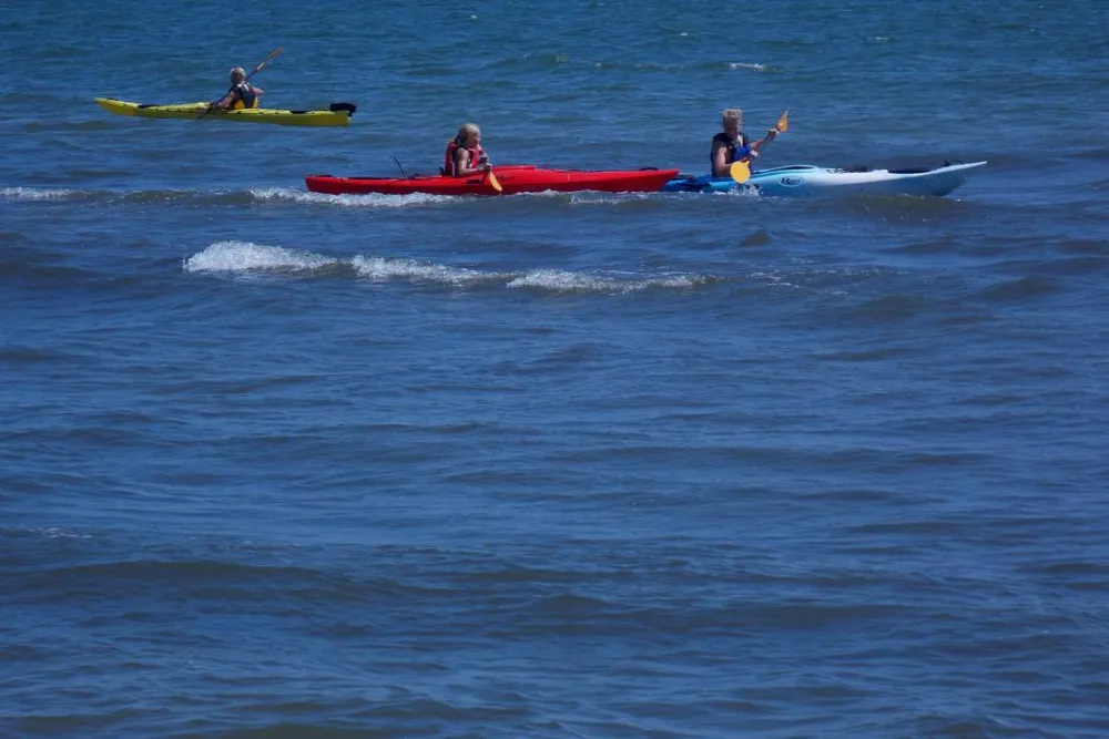 Slow Motion Danube Delta