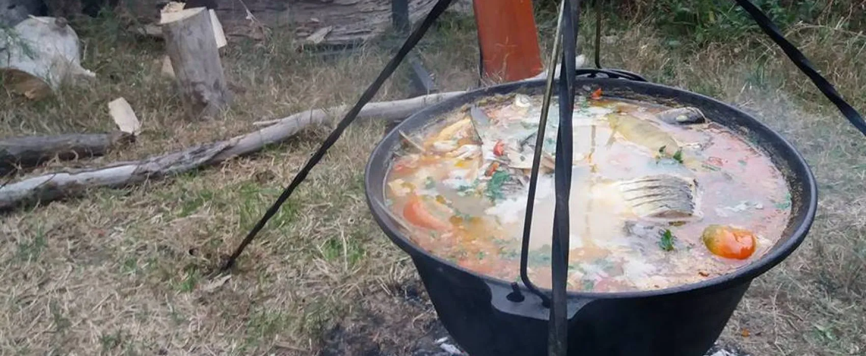 Slow Motion Danube Delta