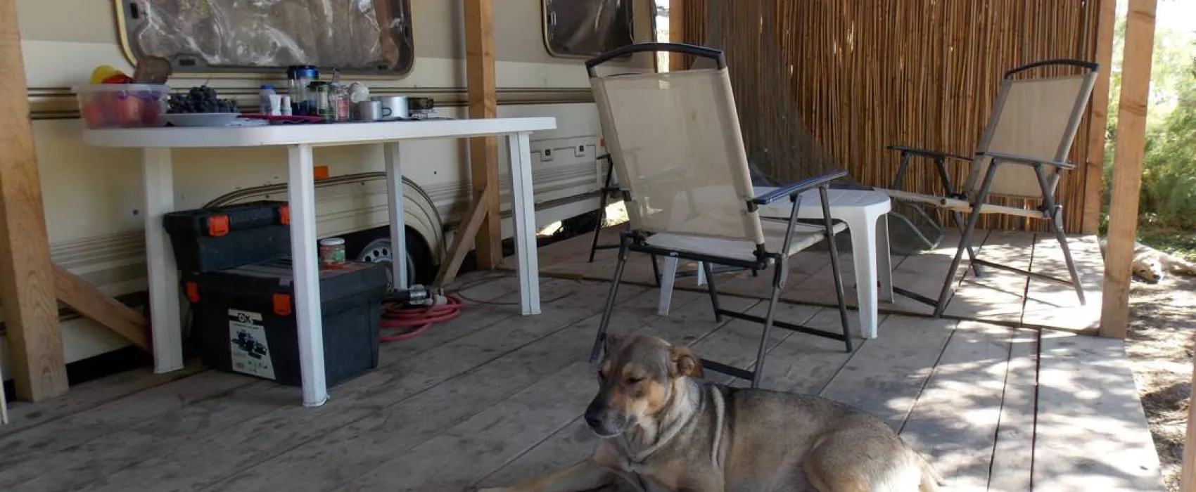 Slow Motion Danube Delta