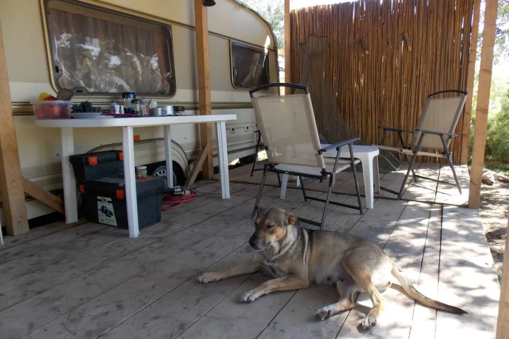 Slow Motion Danube Delta