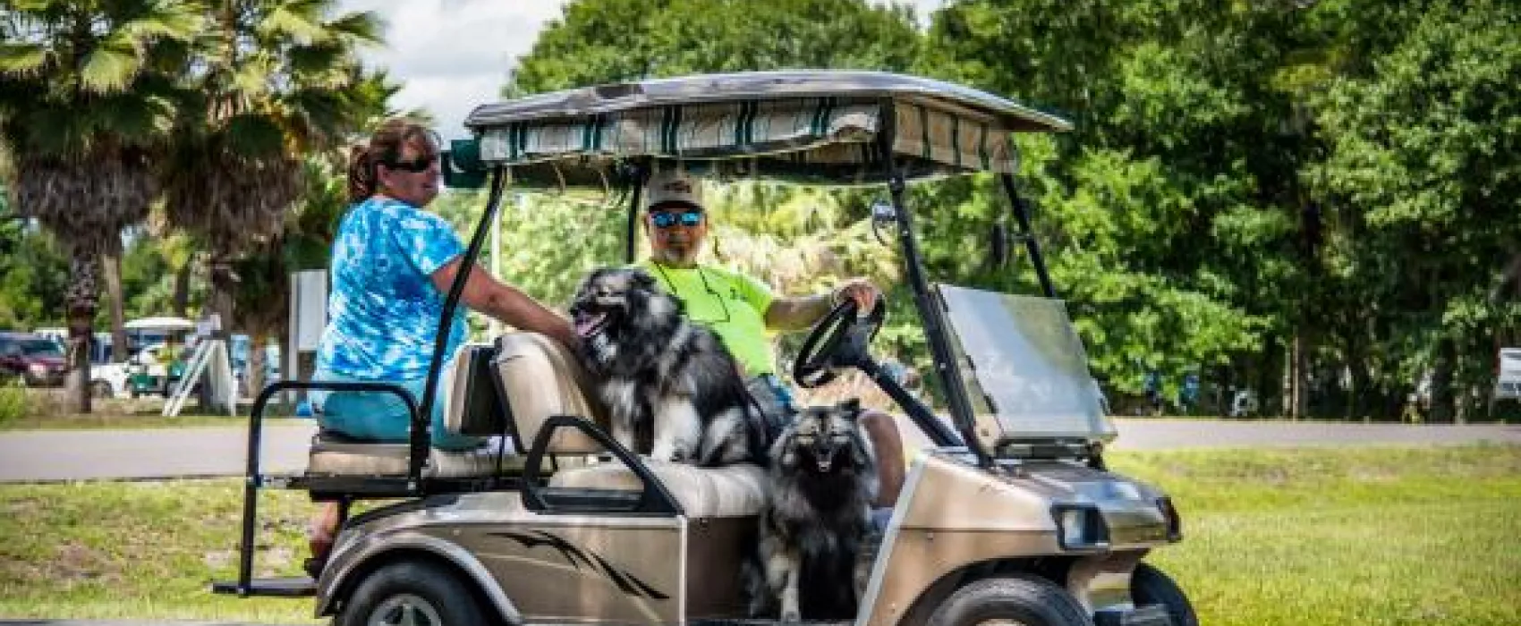 Wekiva Falls RV Resort