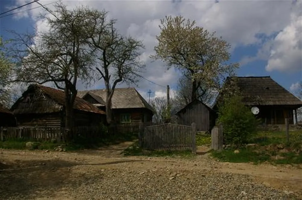 Babou Maramures