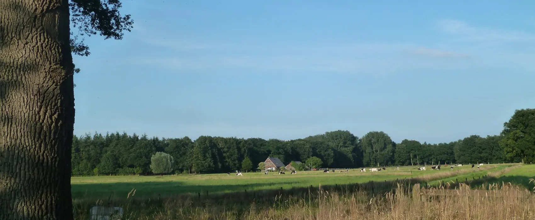 Camping Warnsveld