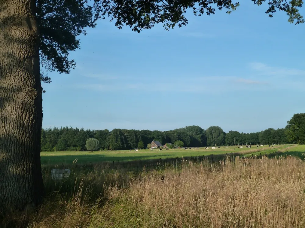 Camping Warnsveld