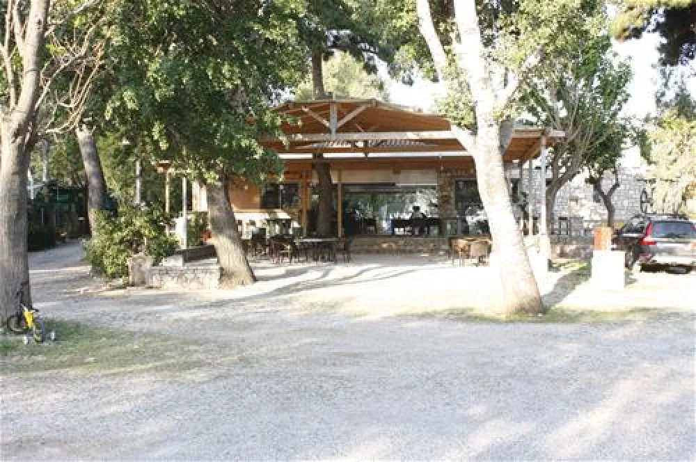 Akrata Beach Camping