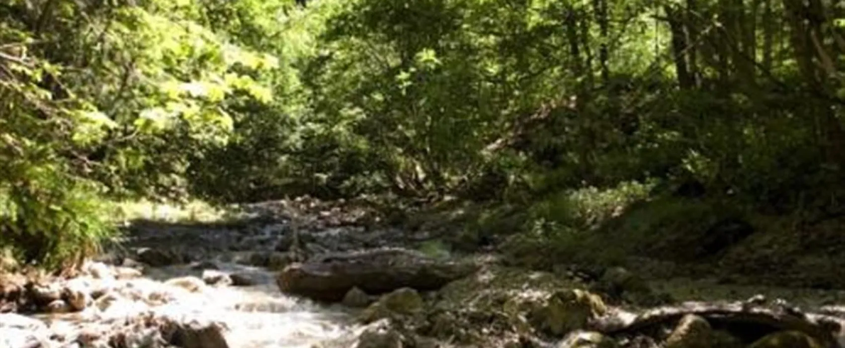 ACHENSEE CAMPING SCHWARZENAU