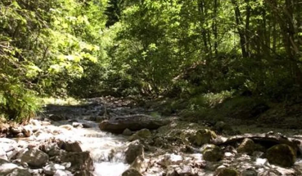 ACHENSEE CAMPING SCHWARZENAU