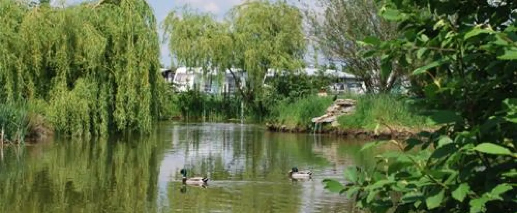 Kings Green Caravan Park