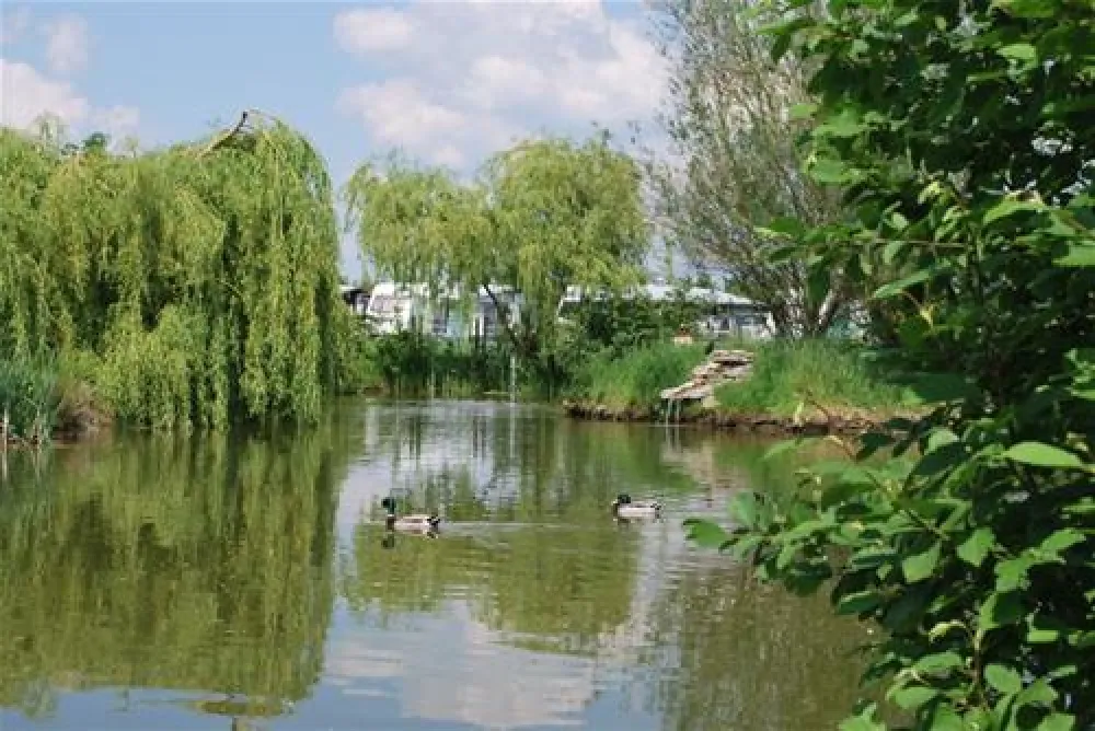 Kings Green Caravan Park