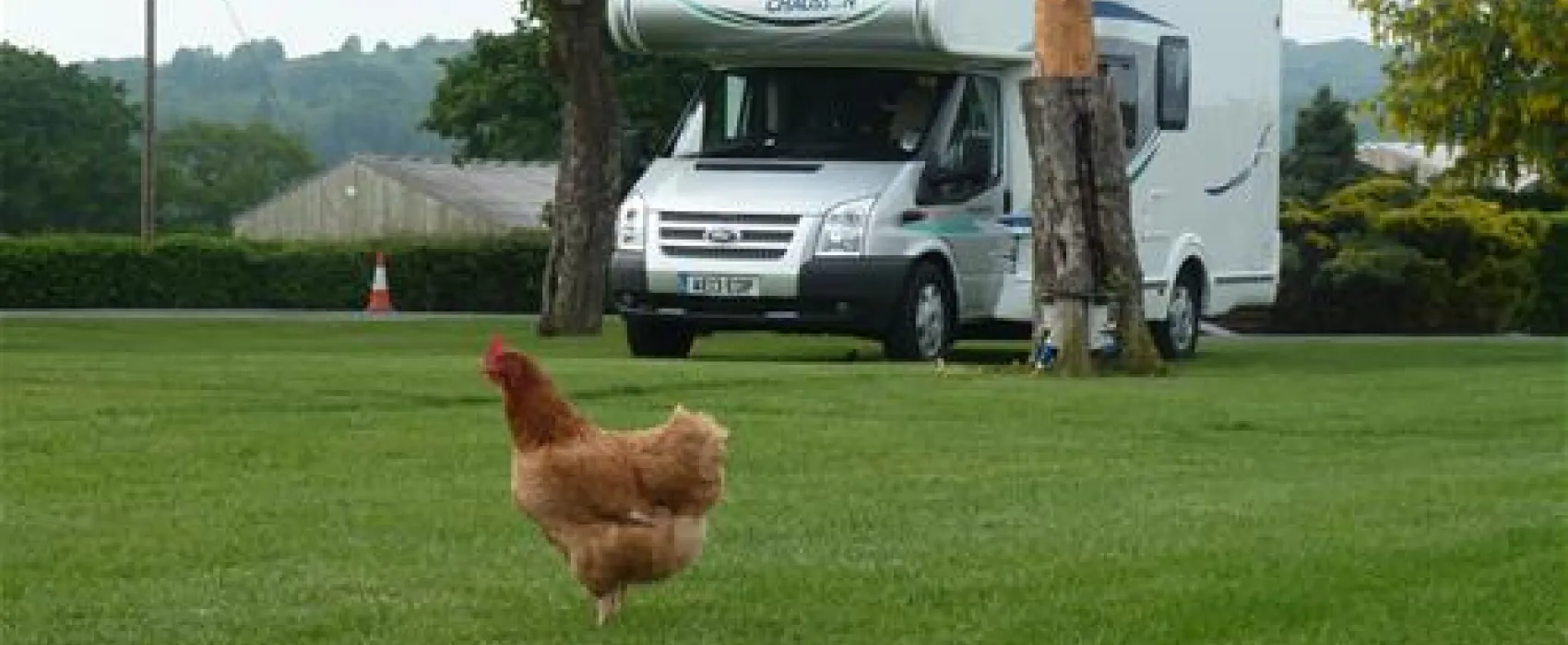 Kings Green Caravan Park