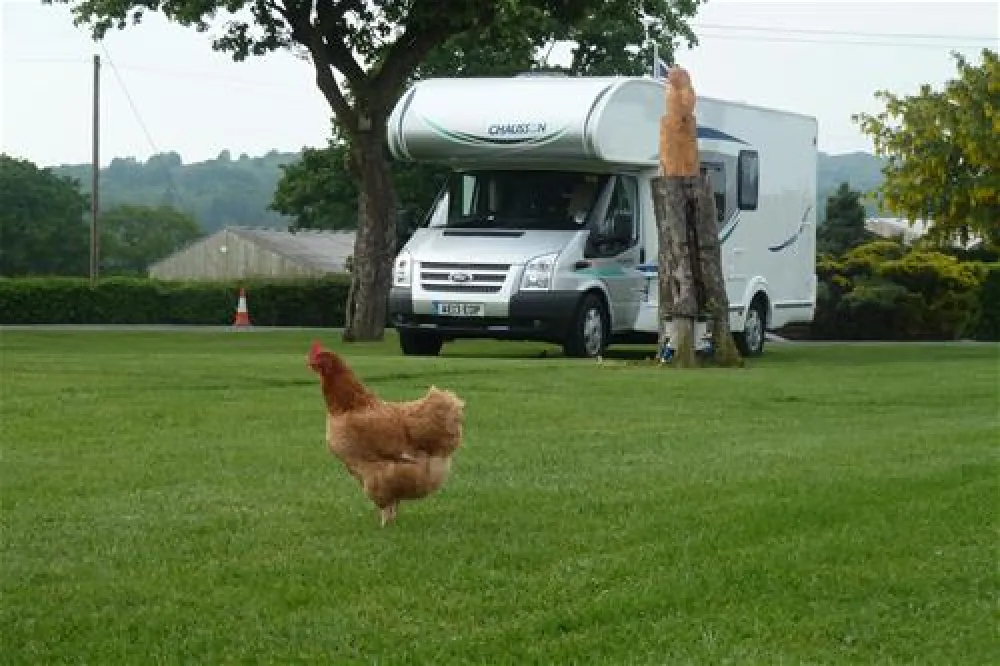 Kings Green Caravan Park