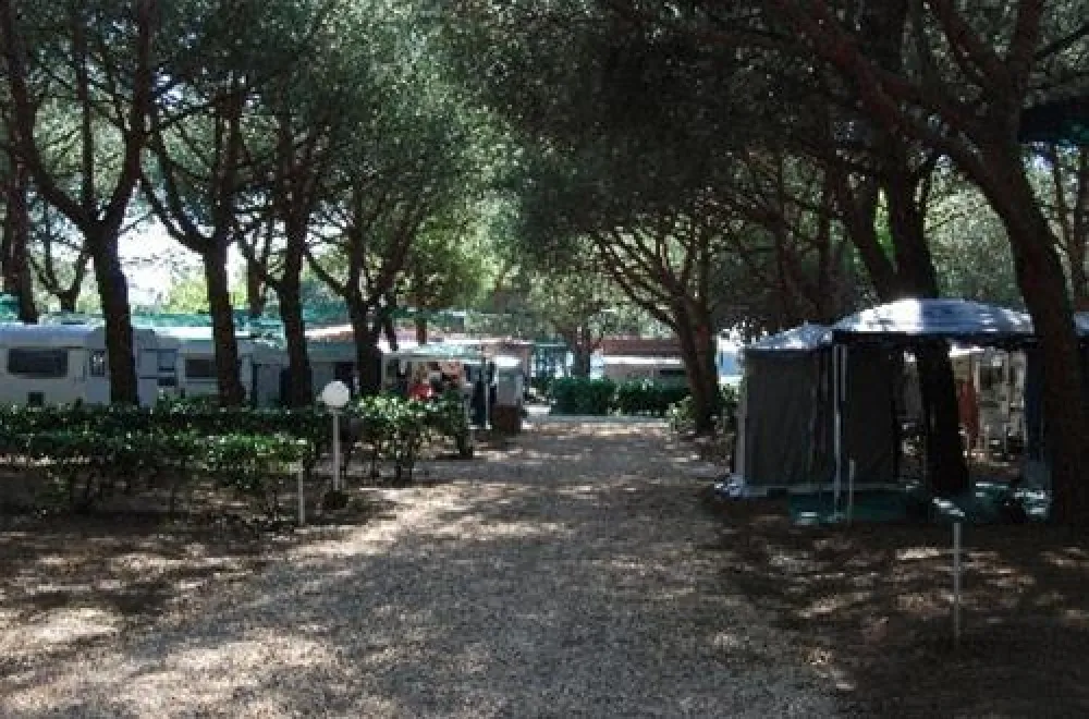 Camping Sant Albinia