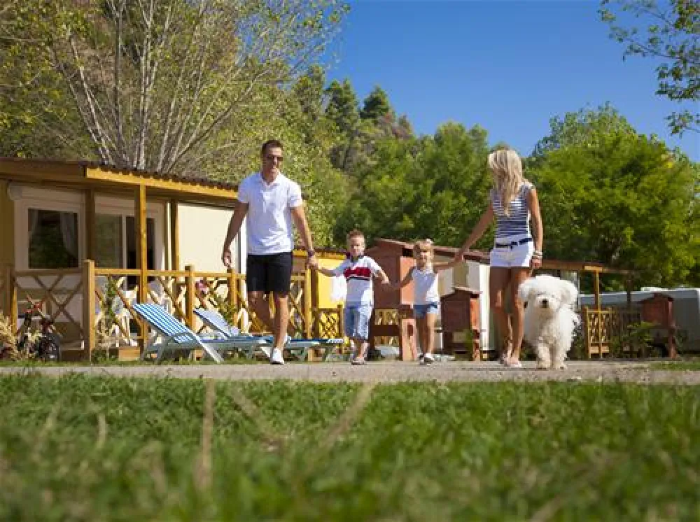 Holiday Resort and Autocamp Medveja