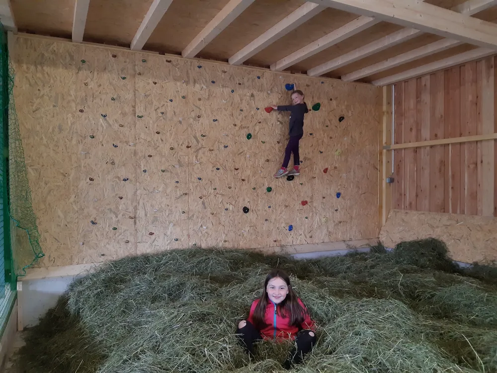 Camping Bergbauernhof Oberhasenberghof