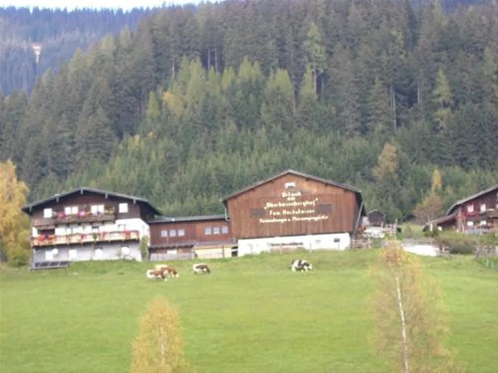 Camping Bergbauernhof Oberhasenberghof