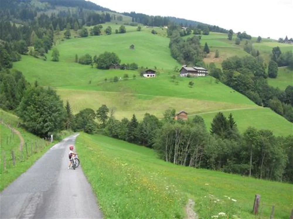 Camping Bergbauernhof Oberhasenberghof