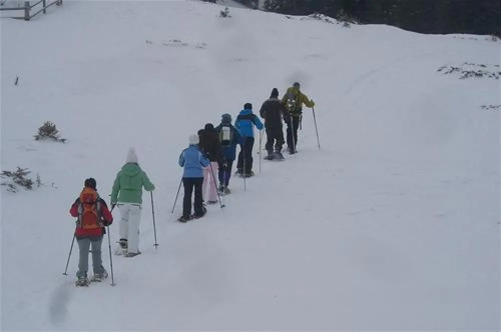 Camping Bergbauernhof Oberhasenberghof