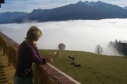 Camping Bergbauernhof Oberhasenberghof photo 5