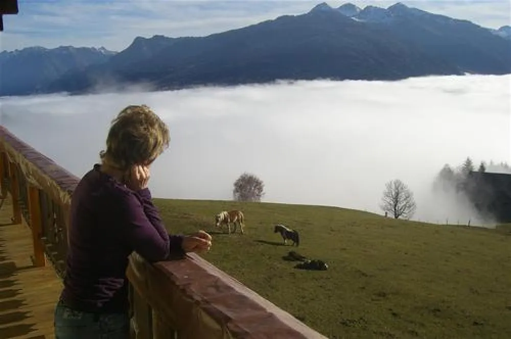 Camping Bergbauernhof Oberhasenberghof