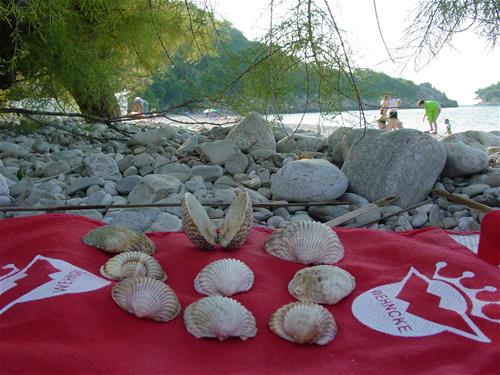 Mini-camping Divna photo 5