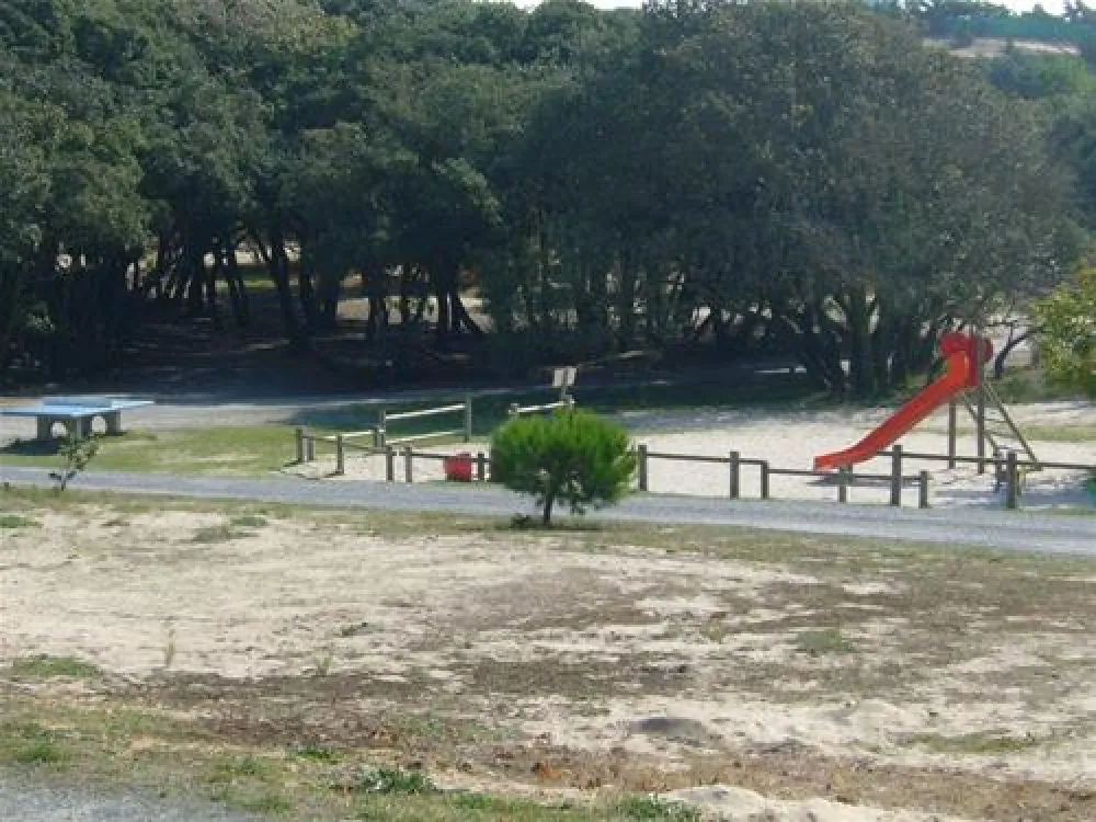 Camping Municipal La Bosse