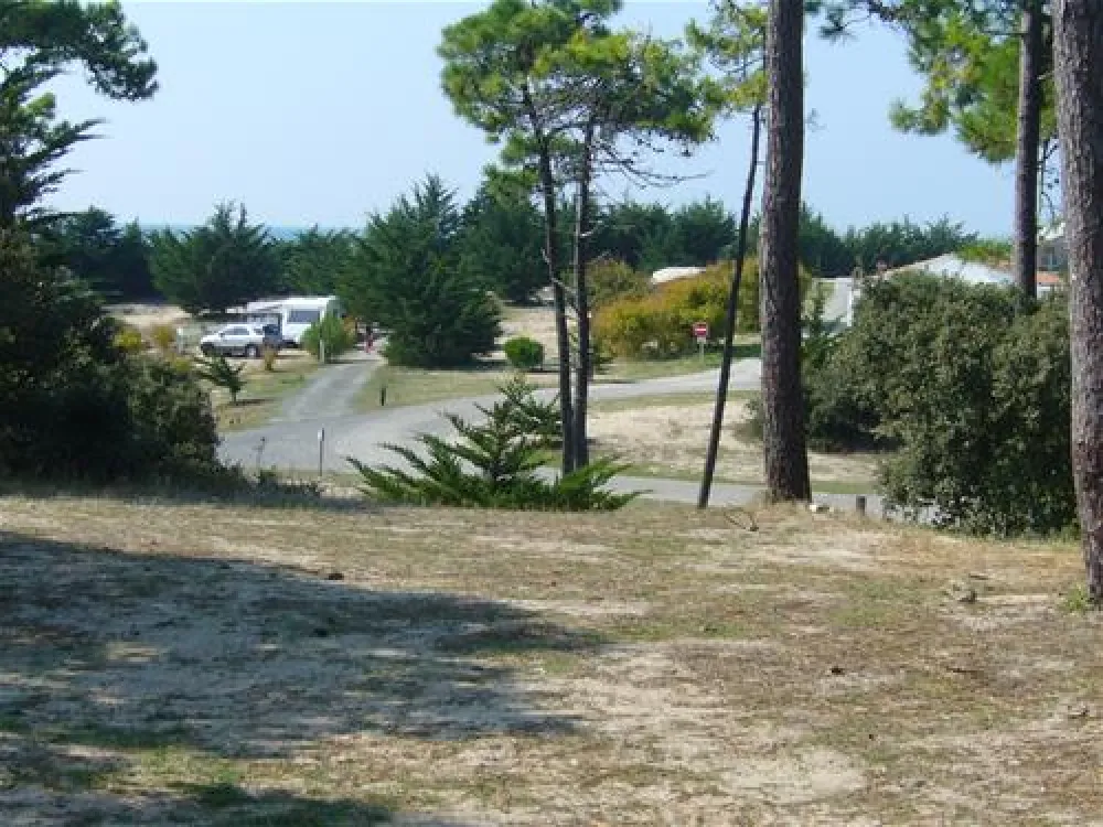 Camping Municipal La Bosse