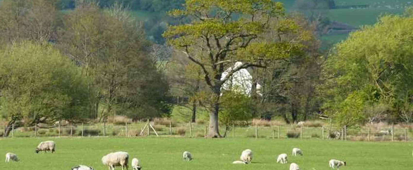 Old Hall Caravan Park
