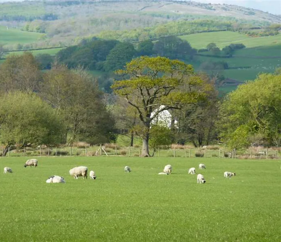 Old Hall Caravan Park