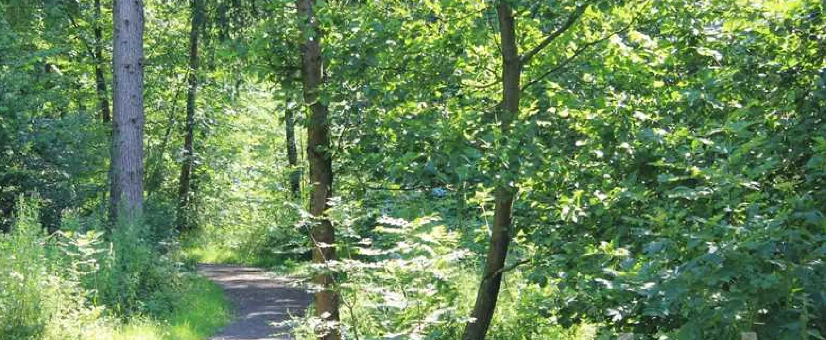 Old Hall Caravan Park